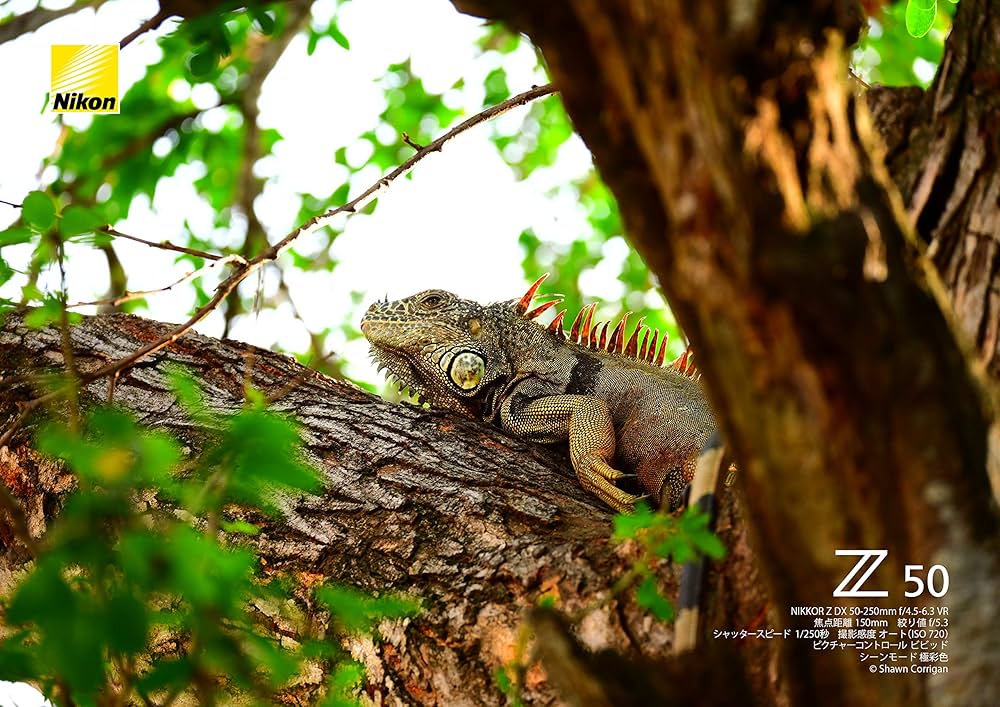 Nikon - ♡お値下げしました( *´艸｀) Nikon 望遠ズームレンズ AF-S DX Amazon.co.jp: 【セット買い】Nikon 望遠ズームレンズ NIKKOR Z